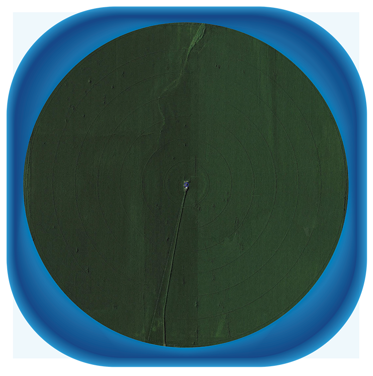 12.5 HIGH SQUARE FIELD