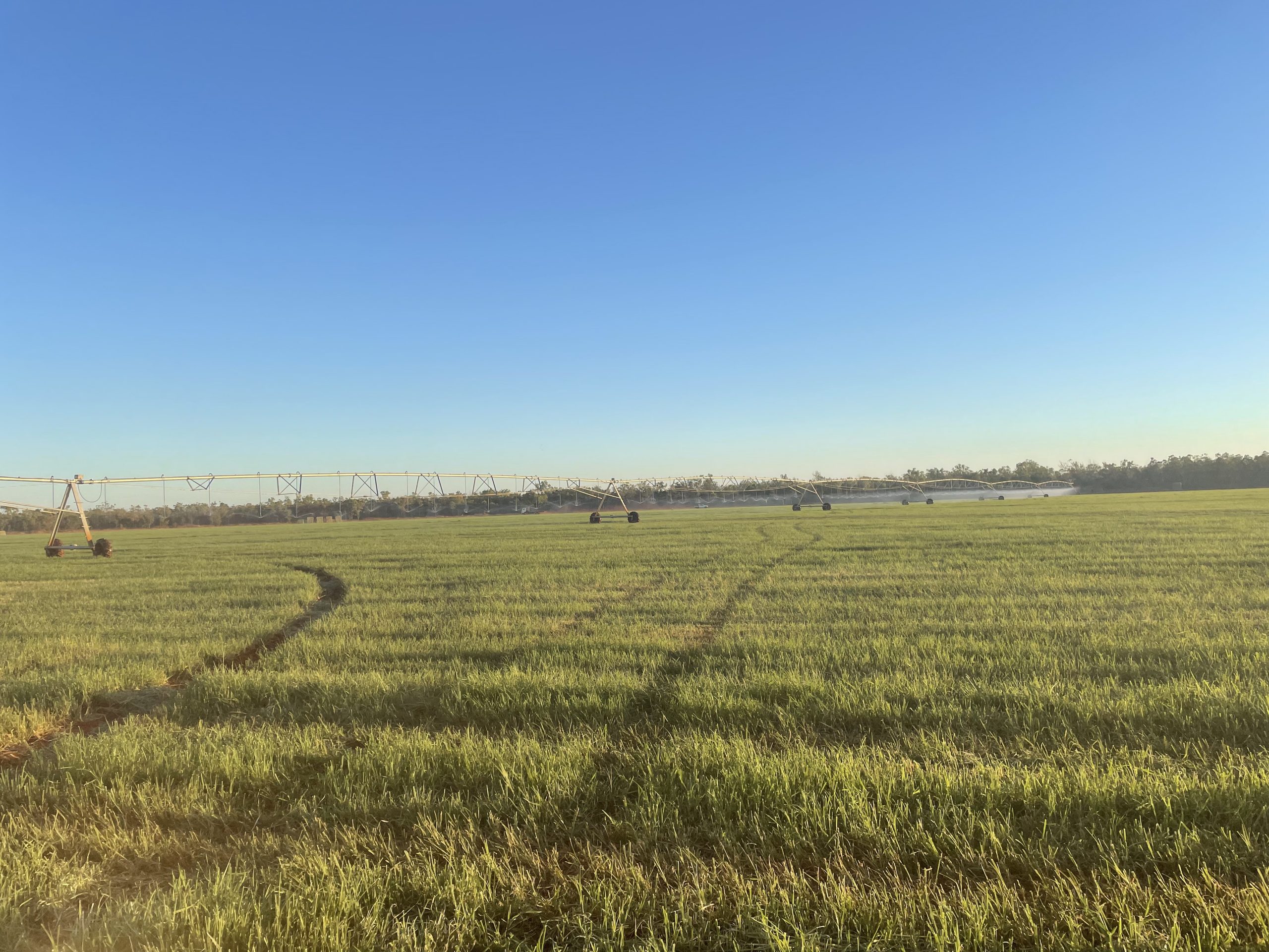 centre pivot for sale